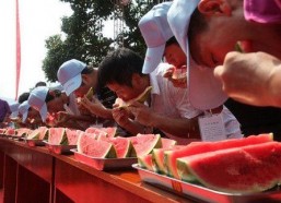 吃瓜大赛在线,一场全民参与的美食盛宴