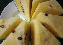 吃瓜论坛母子,母子情深，网友热议家庭温馨瞬间