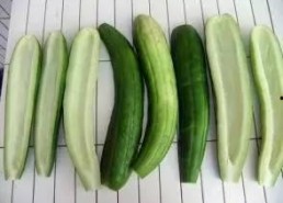 娱乐吃瓜酱花期,揭秘明星幕后故事