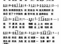 娱乐吃瓜酱谐音歌词是什么,揭秘谐音歌词背后的趣味与智慧