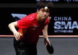 王楚钦吃娱乐圈瓜,揭秘明星幕后那些事