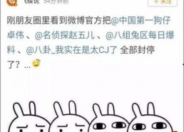 娱乐吃瓜 大事件,揭秘年度大事件背后的吃瓜真相