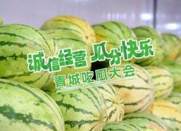 吃瓜大会是什么意思,网络热词背后的文化现象