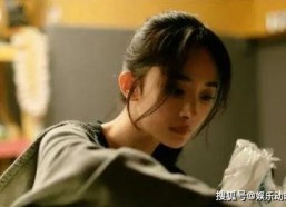 吃瓜小说娱乐圈柳小八结局,娱乐圈的逆袭与蜕变