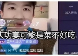 娱乐吃瓜直播间老燕子,揭秘娱乐圈幕后故事