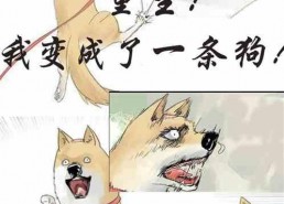 娱乐吃瓜宠物小说免费阅读,吃瓜小说免费畅读