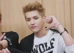 娱乐圈吃瓜王安宇