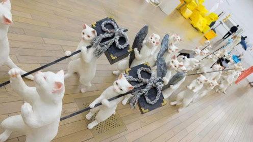 娱乐吃瓜君飞天,揭秘娱乐圈背后的惊天秘密