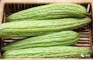 娱乐吃瓜苦,揭秘娱乐圈背后的酸甜苦辣