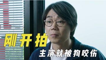 娱乐吃瓜君右上角,揭秘娱乐圈幕后故事，带你领略明星真实生活