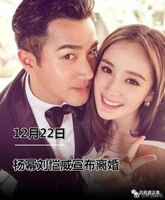 娱乐圈吃瓜小说连更