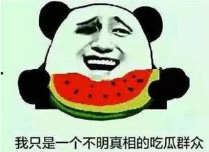 娱乐吃瓜名字怎么取的,揭秘“娱乐吃瓜”名字背后的趣味与智慧